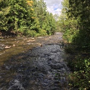 Meet your Posher, Ali